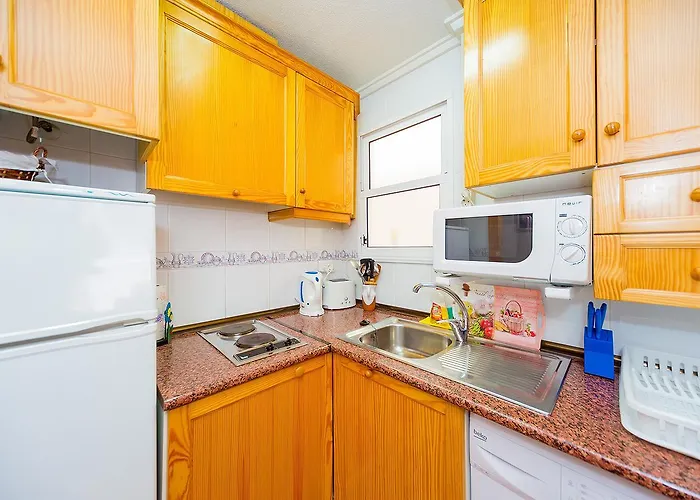 Alegria Id343 Torrevieja