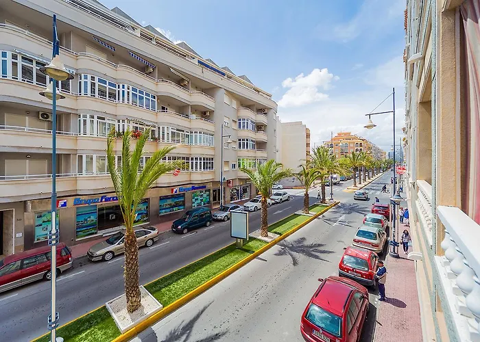 Alegria Id343 Torrevieja